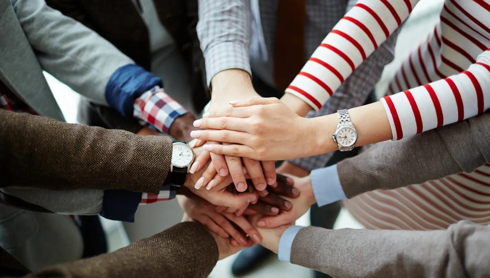 Kein Bildtext verfügbar