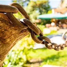 Kein Bildtext verfügbar