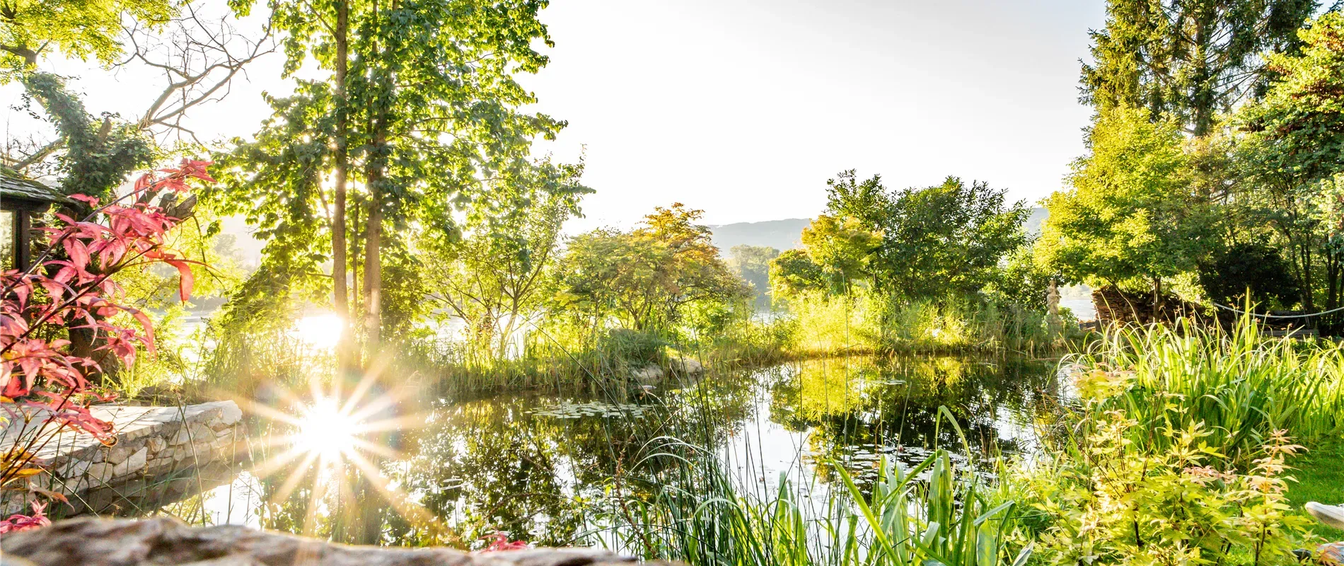 Kein Bildtext verfügbar