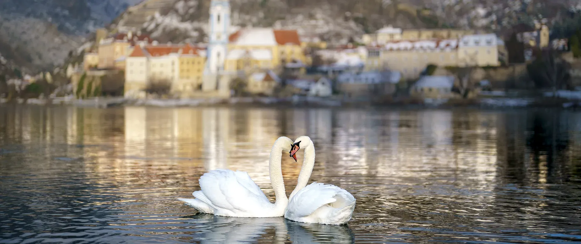 Kein Bildtext verfügbar