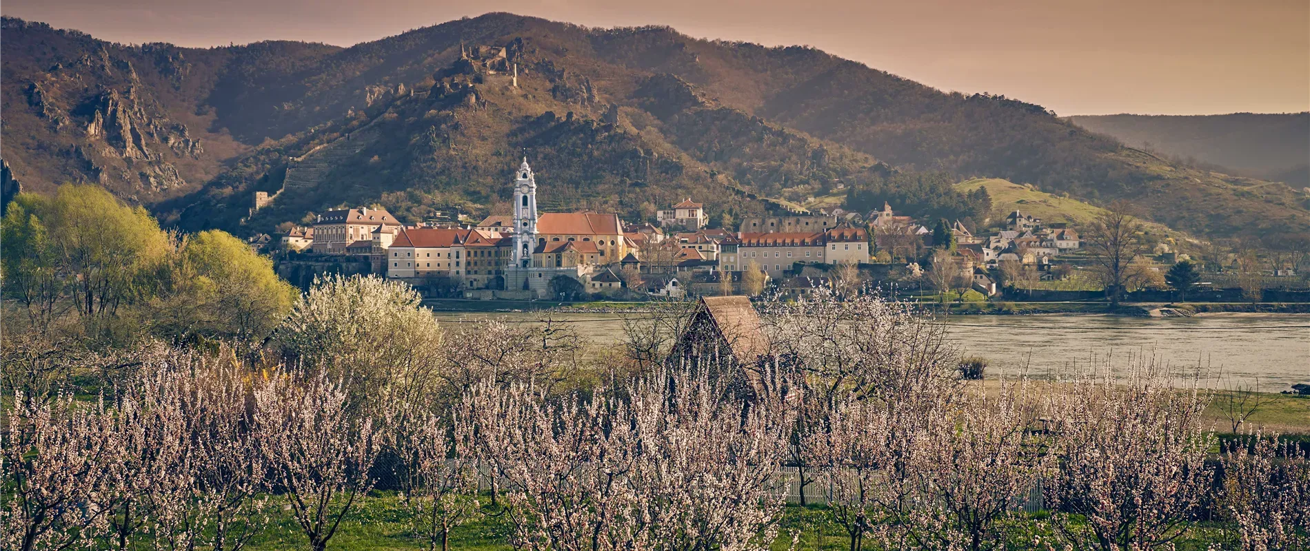 Kein Bildtext verfügbar